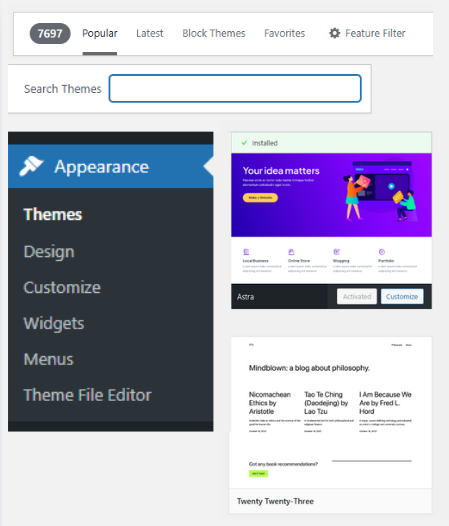 WordPress dashboard screenshot showing the Appearance section and theme options Astra and Twenty Twenty-Three in the theme editor.