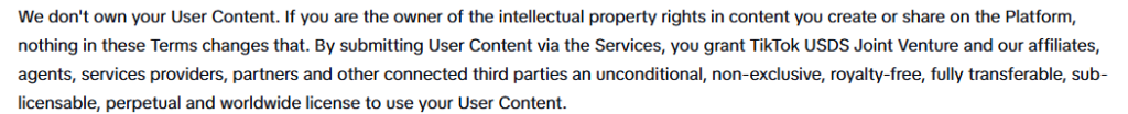 CapCut terms of service excerpt showing the content license granted to TikTok USDS Joint Venture